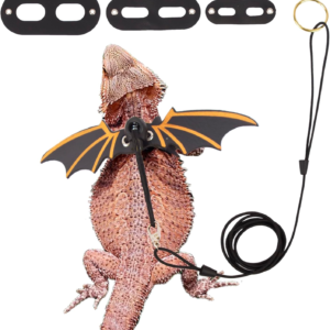 Bearded Dragon Leash Harness, 3 Size Pack Black Lizard Wing Harness with Removable Leash for Bearded Dragon Lizard Reptiles